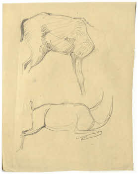 Visualizza l'immagine "FD D 123"